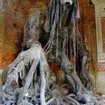image for Demon Statue at an abandoned mausoleum in Poland.