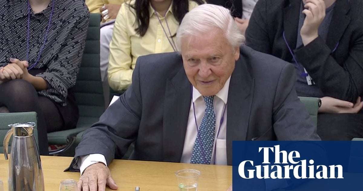 image for David Attenborough: polluting planet may become as reviled as slavery