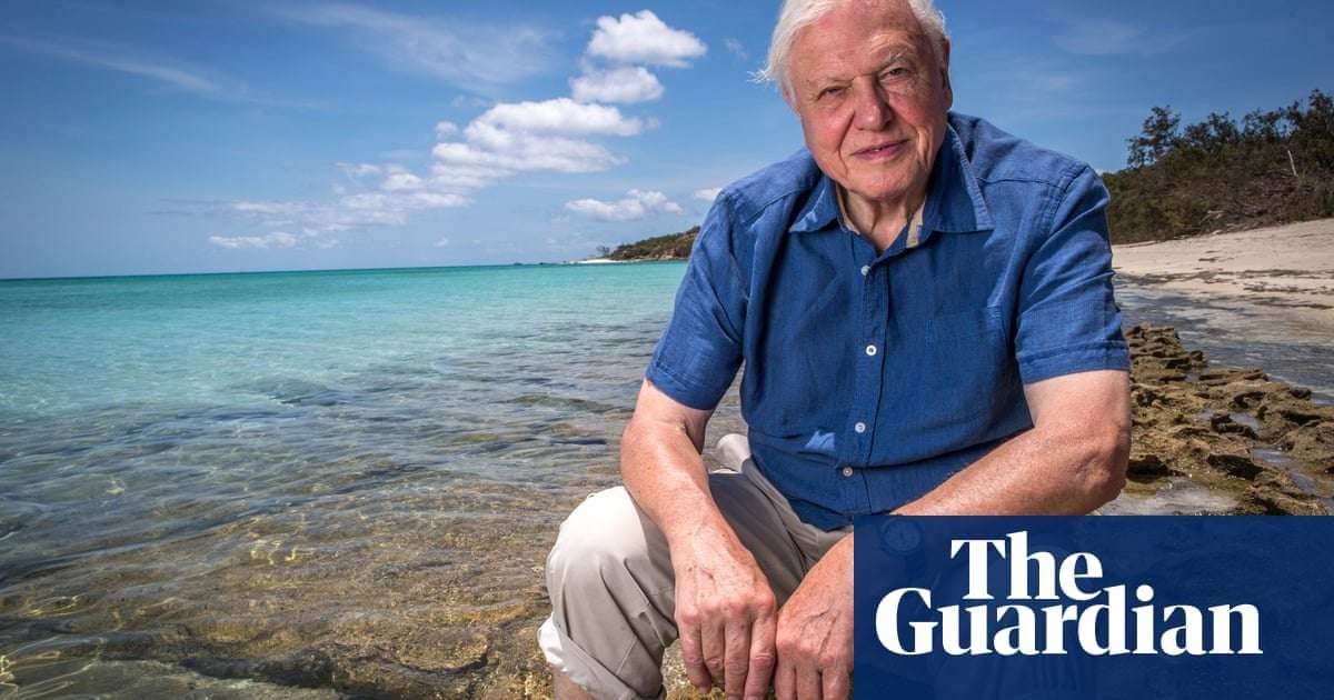 image for David Attenborough says it's 'extraordinary' climate deniers are in power in Australia