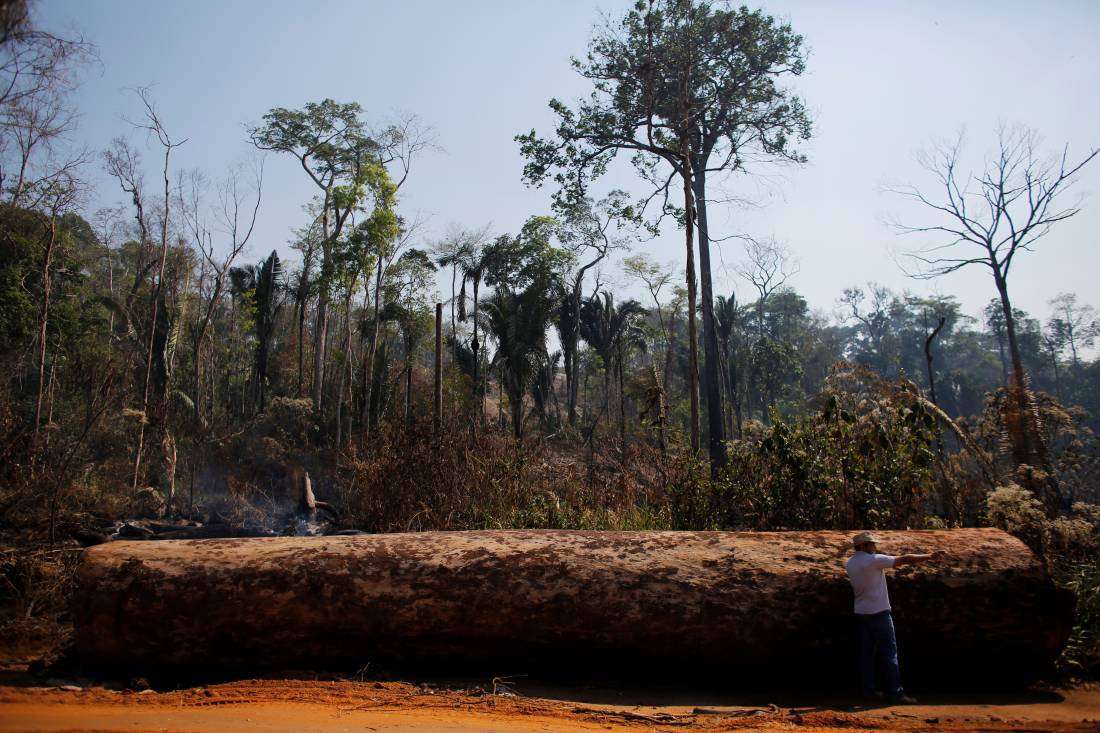 image for Ecuador tribe wins legal battle over the Amazon