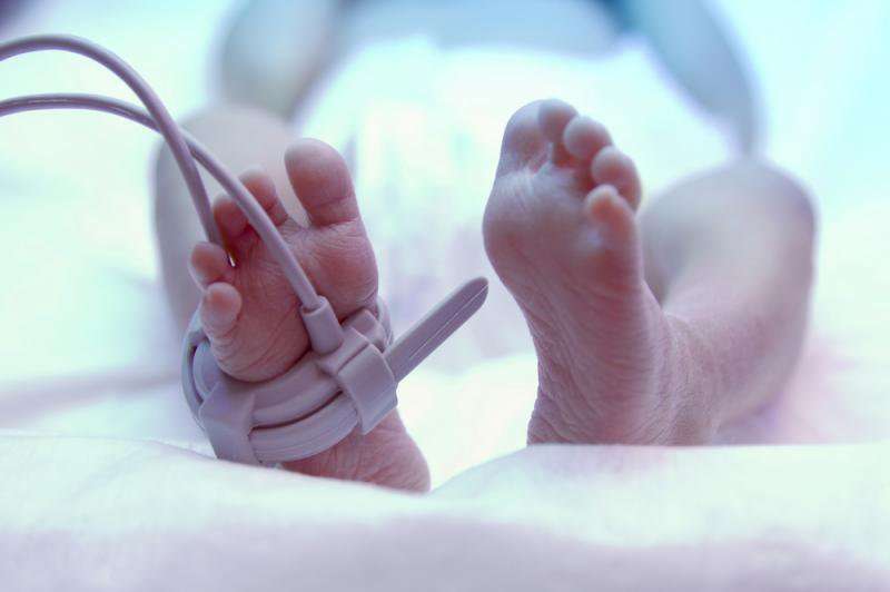 image for Prenatal opioid exposure may lower IQ in babies