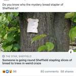 image for We made the local news in Sheffield, UK!