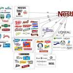 image for /r/HydroHomies is calling for a boycott of Nestlé for their stance that water isn’t a human right, let’s join them!