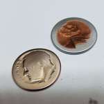 image for This dime and penny stuck in a dryer for years