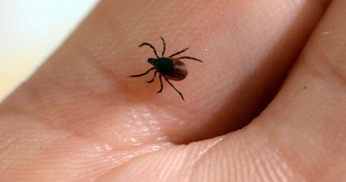 image for House passes amendment ordering Pentagon to review whether U.S. experimented with weaponizing ticks