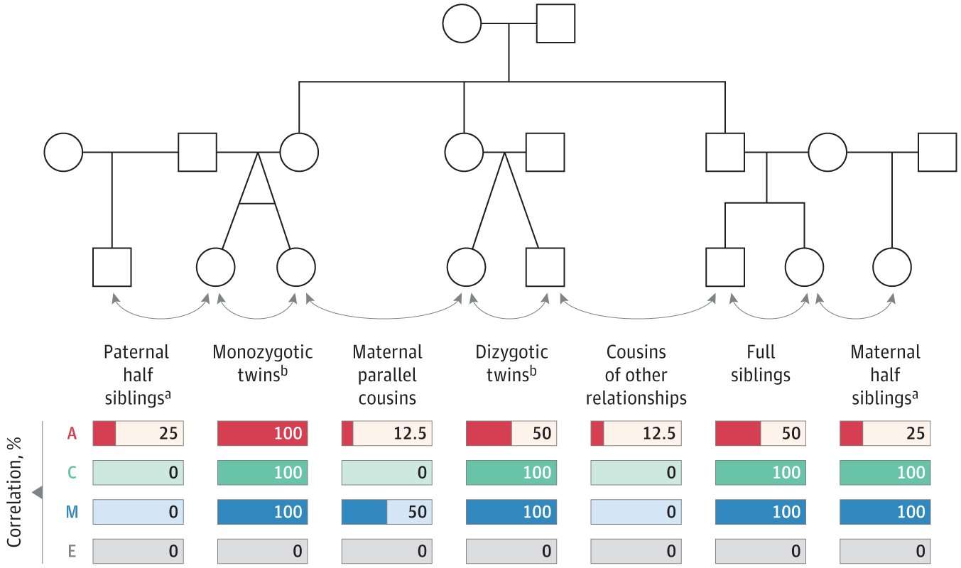 image for Association of Genetic and Environmental Factors With Autism in a 5-Country Cohort