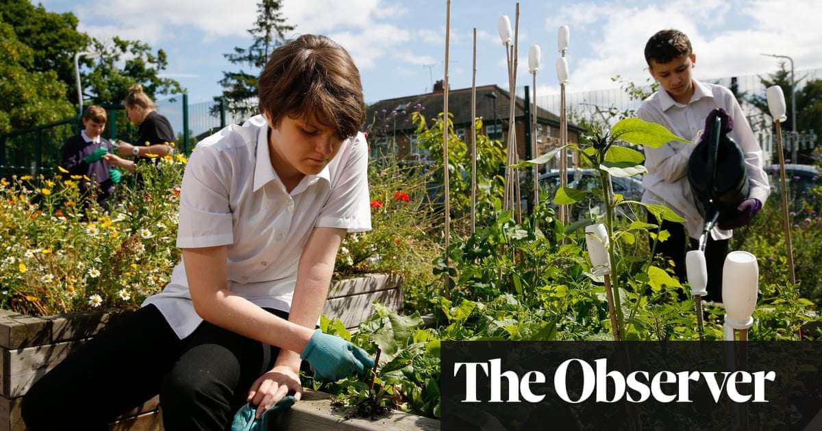 image for Weeding, writing and arithmetic… why green fingers are good for our children