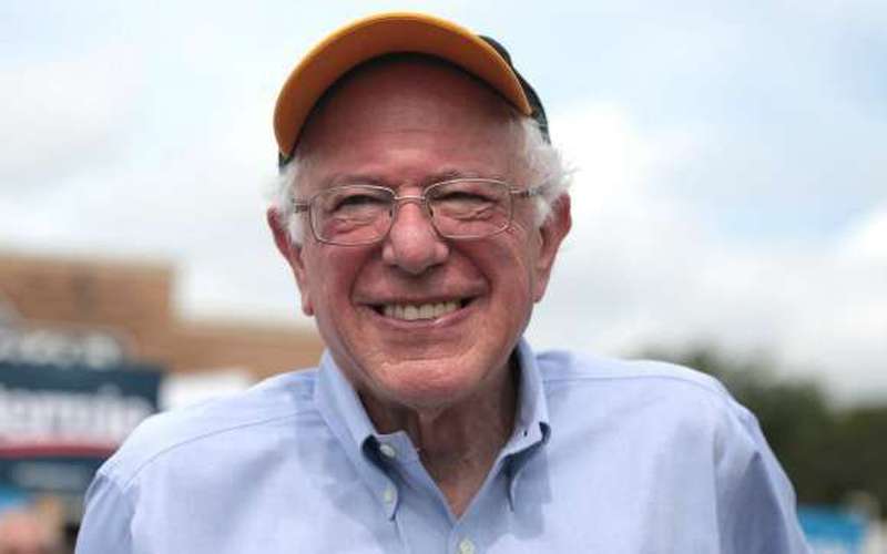 image for 'This Man Can Beat Trump': Sanders Viewed Most Favorably of 2020 Democratic Candidates