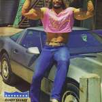 image for Macho Man Randy Savage in the most '80s photo ever
