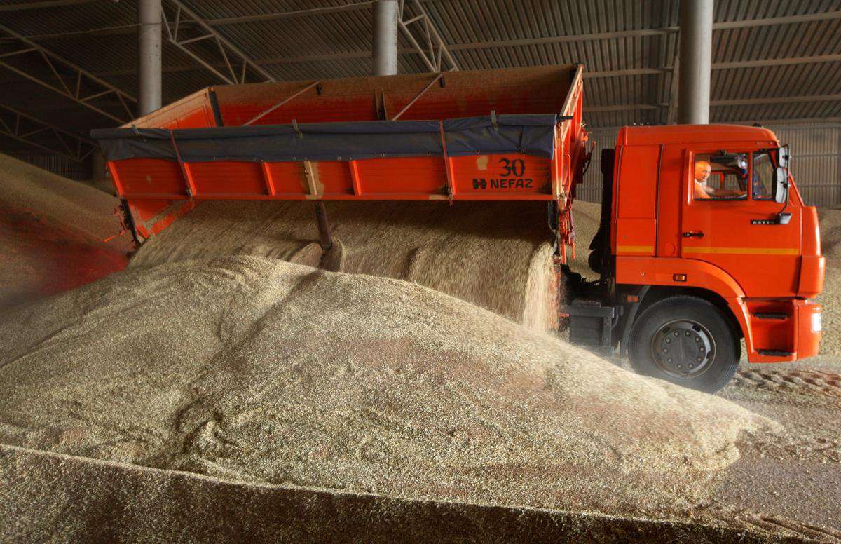 image for China approves wheat, soy imports from Russia
