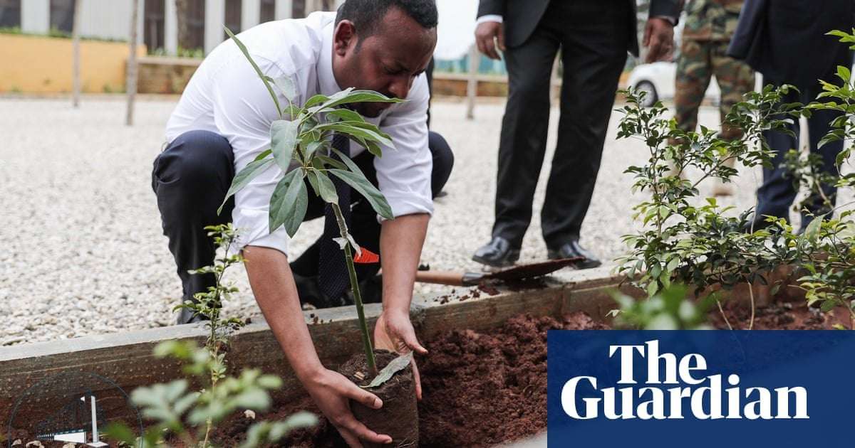 image for Ethiopia plants 350m trees in a day to help tackle climate crisis