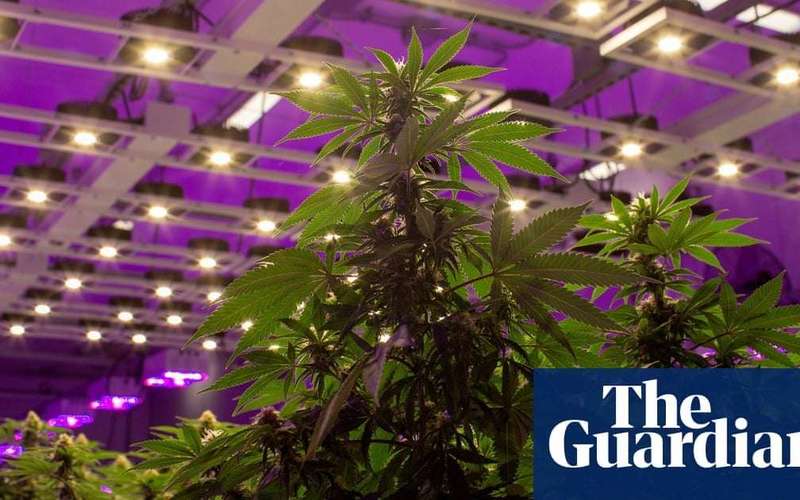 image for Luxembourg to be first European country to legalise cannabis