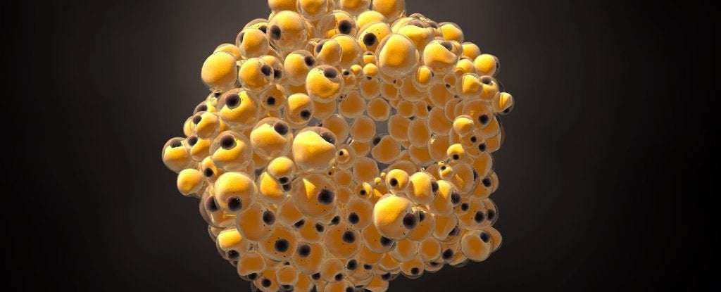 image for Scientists Successfully Turn Breast Cancer Cells Into Fat to Stop Them From Spreading