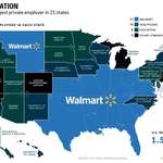 image for This is pretty cool from Visual Capitalist! The biggest employer in each state of the USA.
