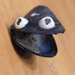 image for I found a mussel with natural goggly eyes