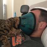 image for Head-bump loving cats are the WORST when they have the cone of shame!