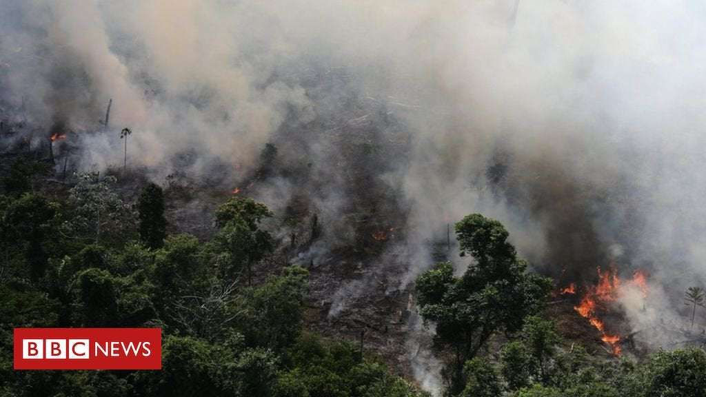 image for Amazon fires: Record number burning in Brazil rainforest