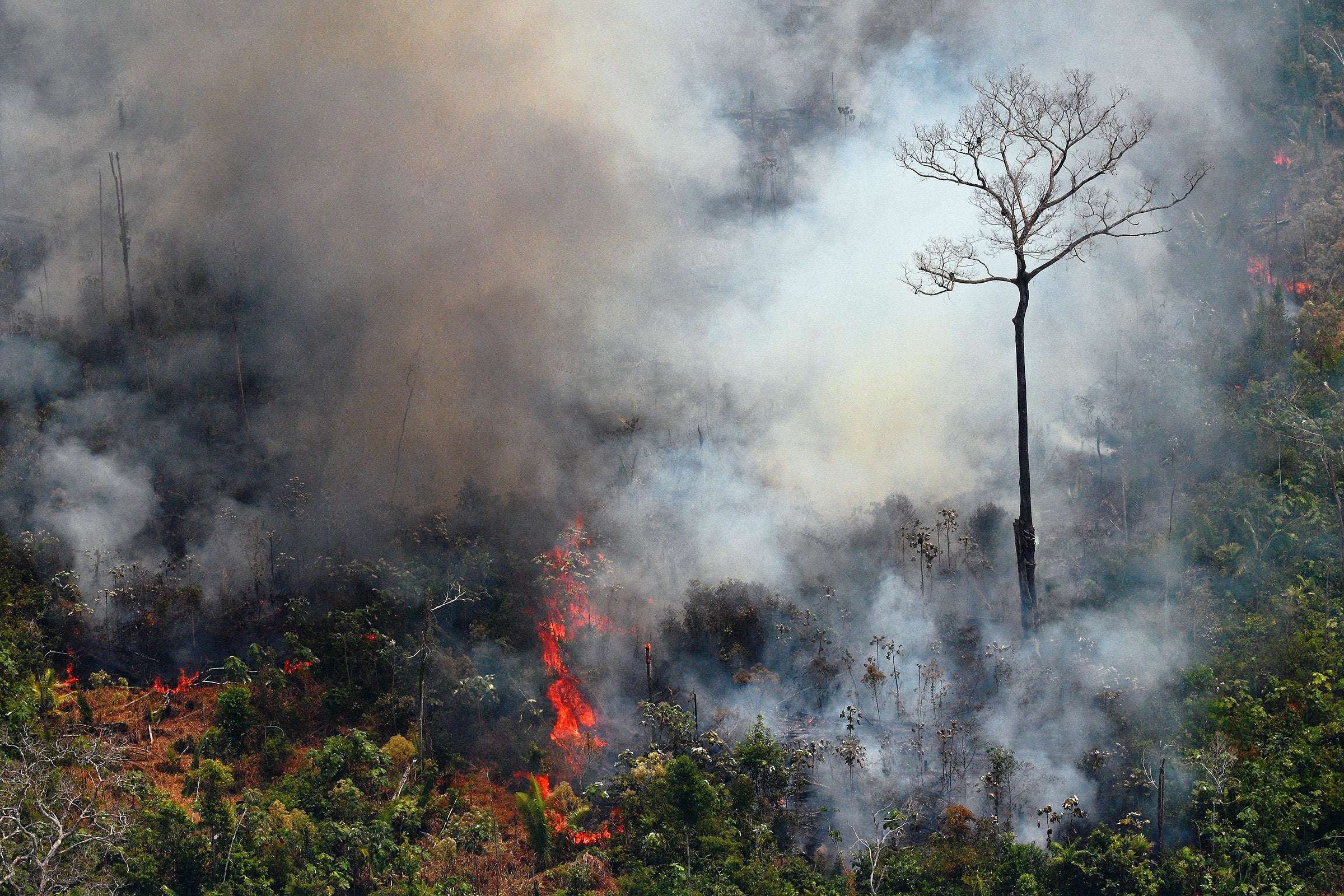 image for Brazilian Farmers Believe They Have the Right to Burn the Amazon
