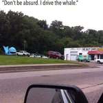 image for Whale I drive a goldfish