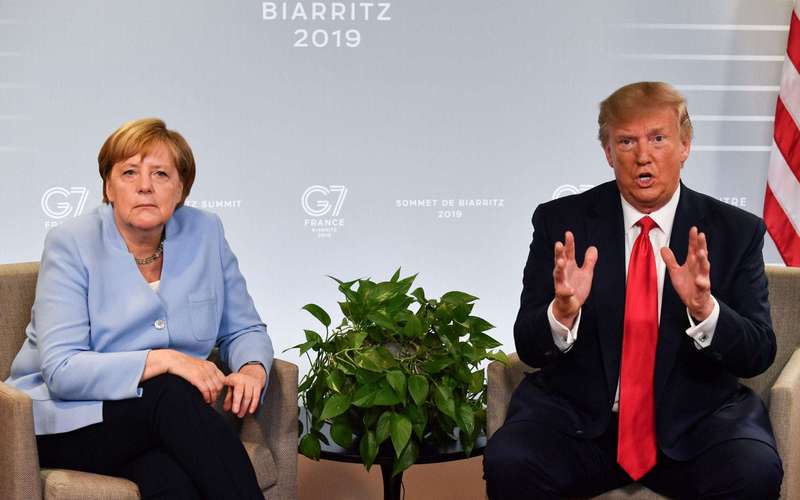 image for Angela Merkel Snorts as Donald Trump Says He Has 'German in My Blood'