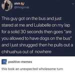 image for To hide a dog on public transportation