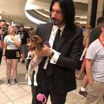 image for John Wick found his new puppy.