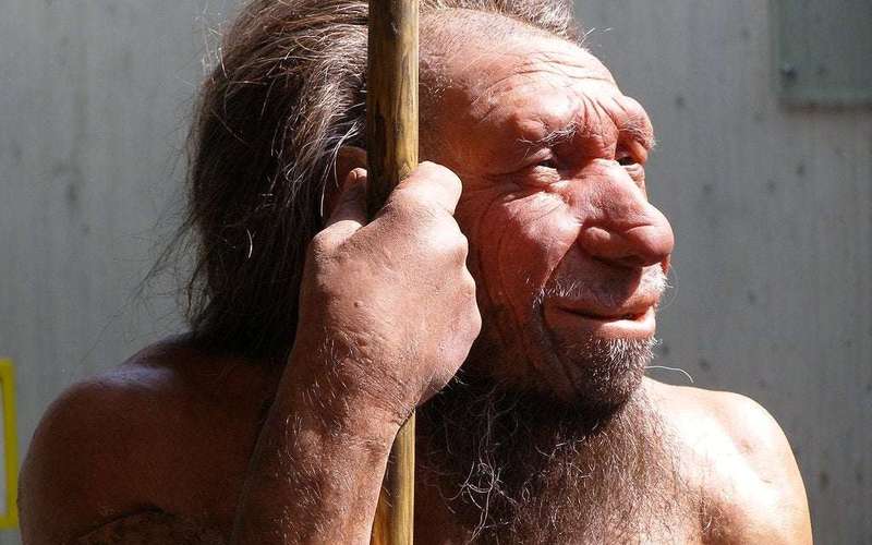 image for 20 Things You Didn't Know About... Neanderthals