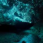 image for Glow worms lighting up a cave in New Zealand