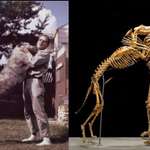 image for Anthropologist Grover Krantz donated his body to science, with one condition... that his dog would stay close to him, both are now on display at the Smithsonian (Washington, DC. )