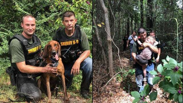 image for K-9 finds missing 3-year-old Florida boy with autism in less than 30 minutes
