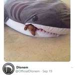 image for GrEat WhiTe EaTs PoOr PUpPy