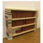 image for Literally a book shelf