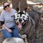 image for This is Jax with his human. Jax is an akita, but due to a condition he was given a very special "mask."