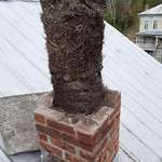 image for Tearing down an unused chimney only to find 25 generations of stacked up birds nests