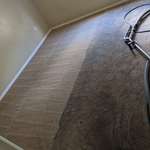 image for I do carpet cleaning for a living and I absolutely love my job.