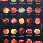 image for Apples on a scale from most tart to most sweet