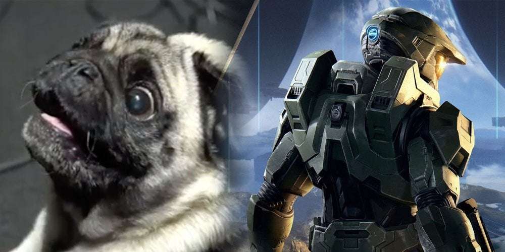 image for A Pug Has Been Hired By 343 Industries To Make Alien Sounds For Halo Infinite