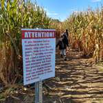 image for This corn maze sign