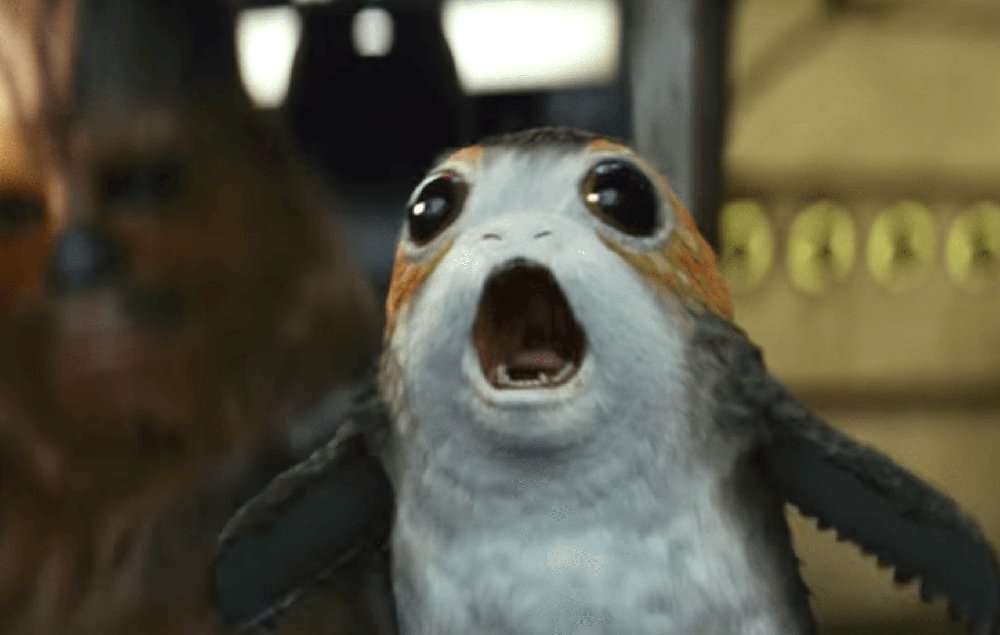 image for Here’s the real reason Porgs made their debut in ‘The Last Jedi’