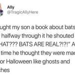 image for Bats are real?