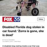 image for POS abandons stolen car in a pond and drowns the owners disabled dog inside