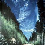 image for On May 18, 1980, someone was able to capture this incredible shot of Mount St. Helens erupting in Washington, USA.