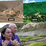 image for This couple planted over 2million trees to regrow a forest in 20years