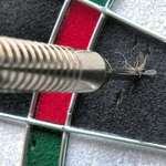 image for Mosquito killed by a dart.