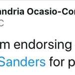 image for Alexandria Ocasio-Cortez endorses Bernie Sanders for President of the United States