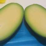 image for Pitless avocado.