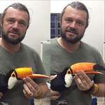 image for Man helps reconstruct a toucans beak using 3D printing.