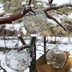 image for These are known as ”Ghost Apples”. They are created when freezing rain coats rotting apples, and when the mushy rotten apple falls out, it leaves a shell of ice