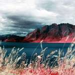 image for What New Zealand looks like on INFRARED FILM