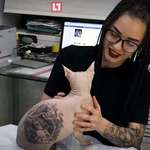 image for Getting your cat tattooed